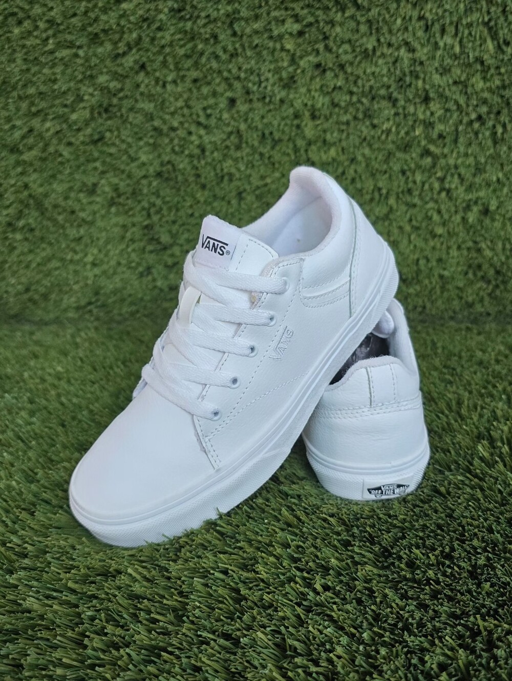 VANS Seldan Low Top Sneakers